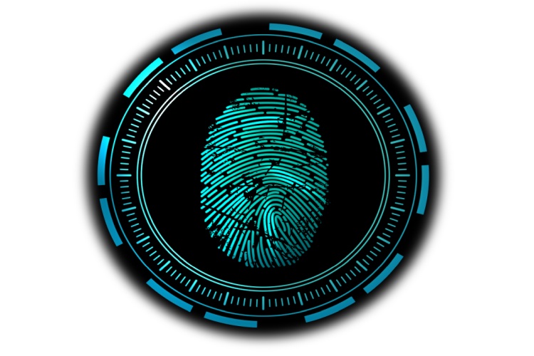Impronta digitale Dichiarazione no-log di Deloitte per NordVPN